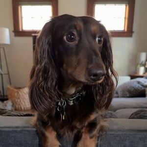 Meet your Posher, Bryan